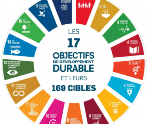 Objectifs de developpement durable (ODD)