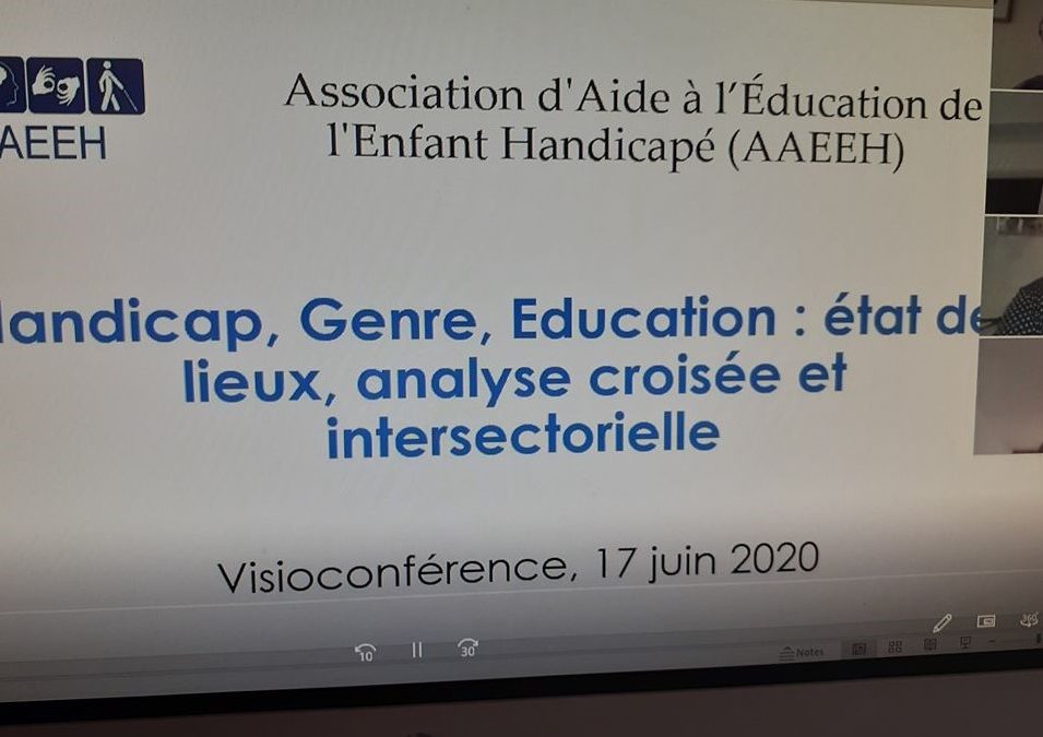 Handicap, genre, éducation/2: une analyse intersectorielle