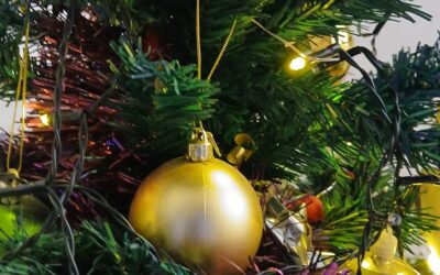 Joyeuses fêtes de fin d&rsquo;année!