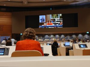 au 33è comité crdp